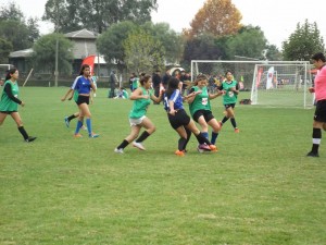 13083220_1567997170165826_2575269359026930506_n